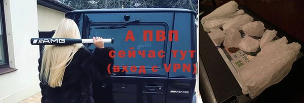 spice Богданович