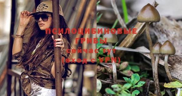 spice Богданович