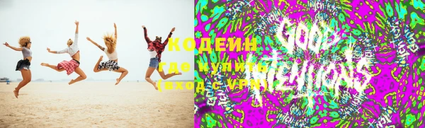 сатива Богородск