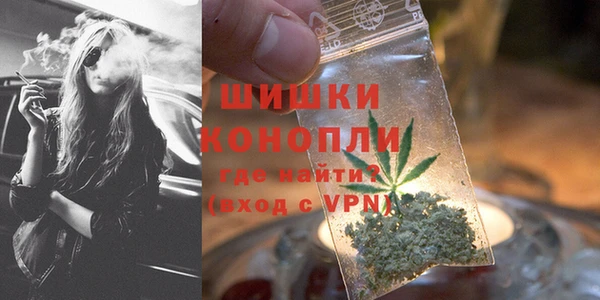 spice Богданович
