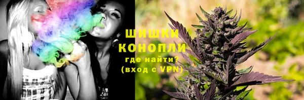 сатива Богородск