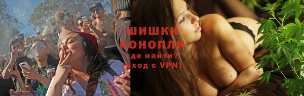 spice Богданович