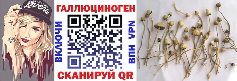 Галлюциногенные грибы прущие грибы Тулун